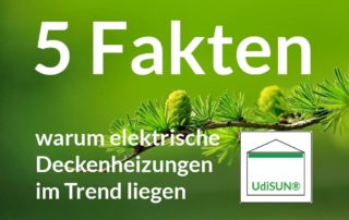 5 Fakten warum elektrische Deckenheizungen im Trend liegen von Biobaunetz Blog