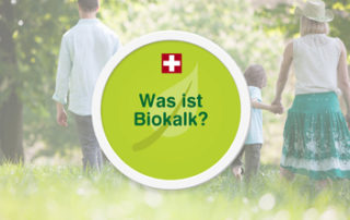 Naturkalk Video von Biobaunetz Blog