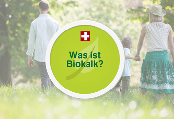 Naturkalk Video von Biobaunetz Blog